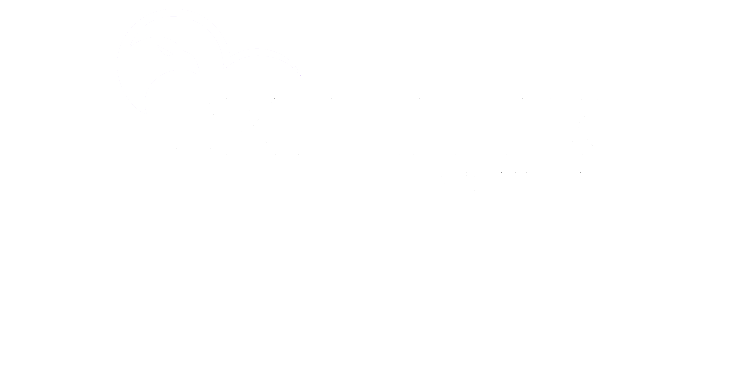 skyhawk-logo-white-2